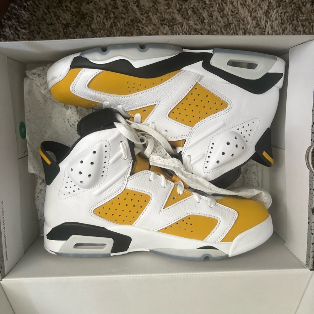 Air Jordan 6
